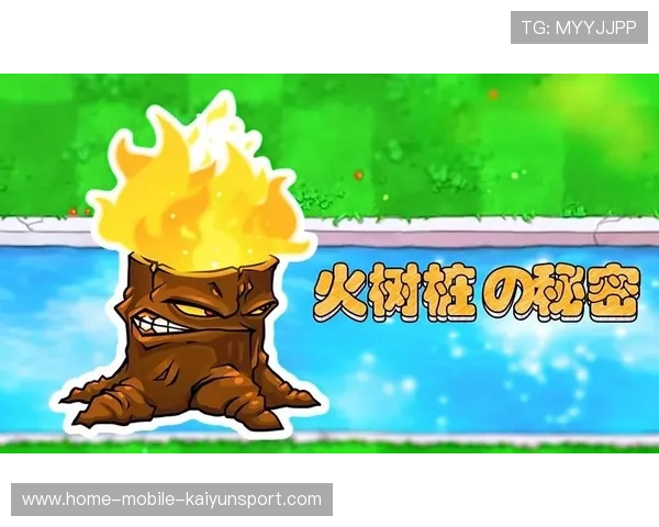 太阳射手群如何炼成?教练组秘密训练被扒出 太阳射手群如何炼成?教练组秘密训练被扒出